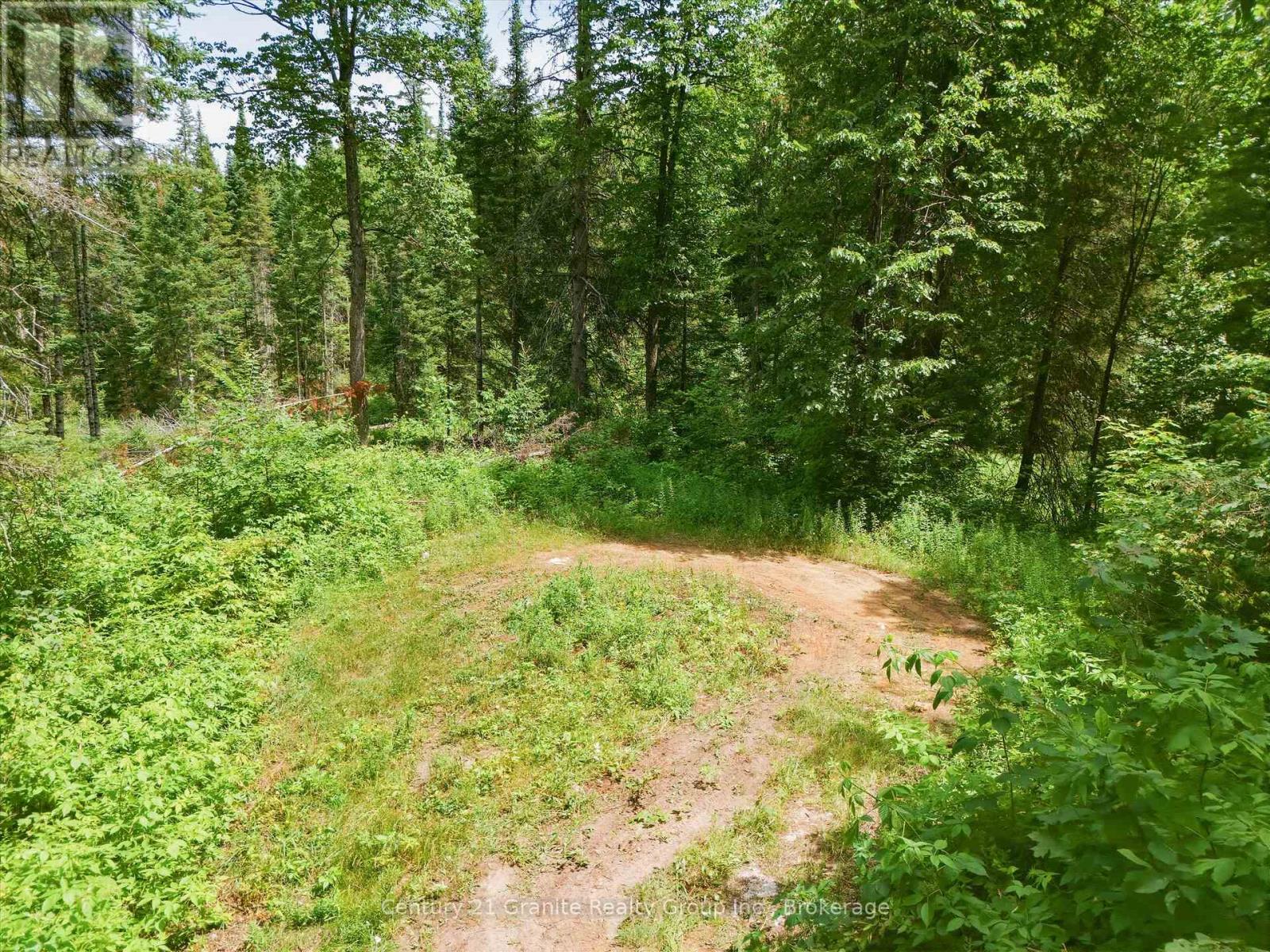 1230 Old Donald Road Property Photo 10