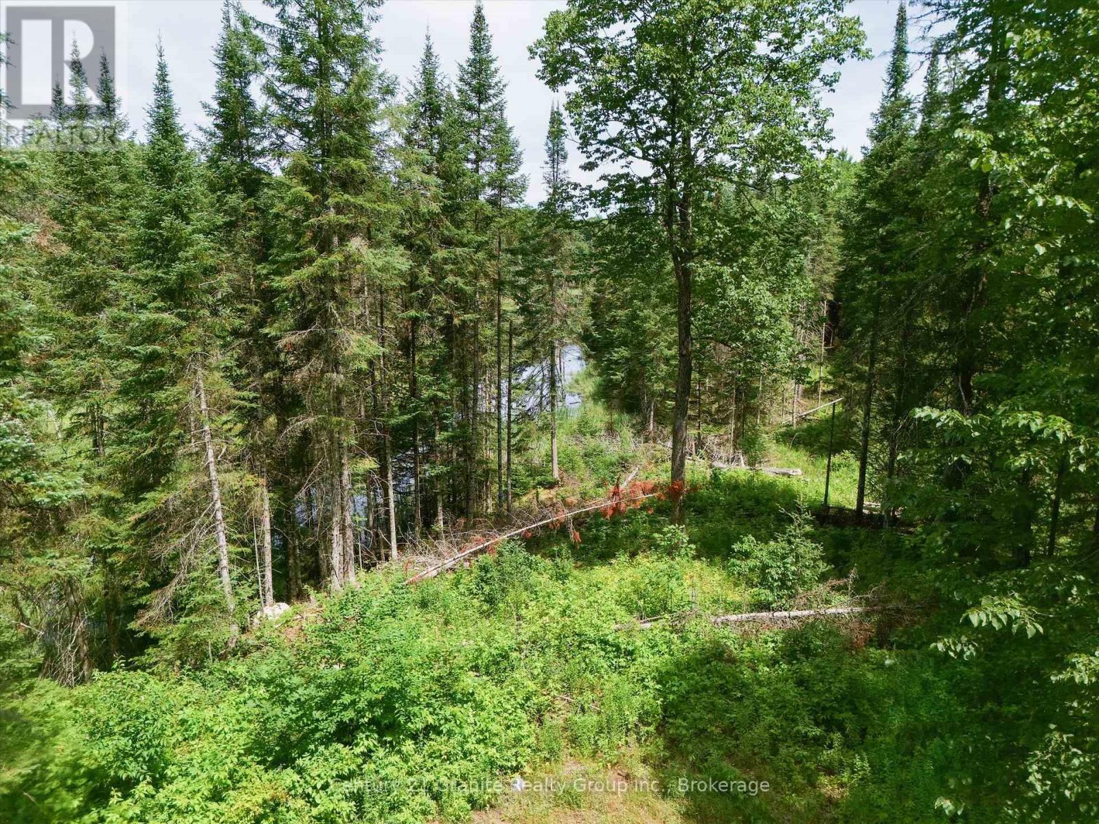 1230 Old Donald Road Property Photo 12