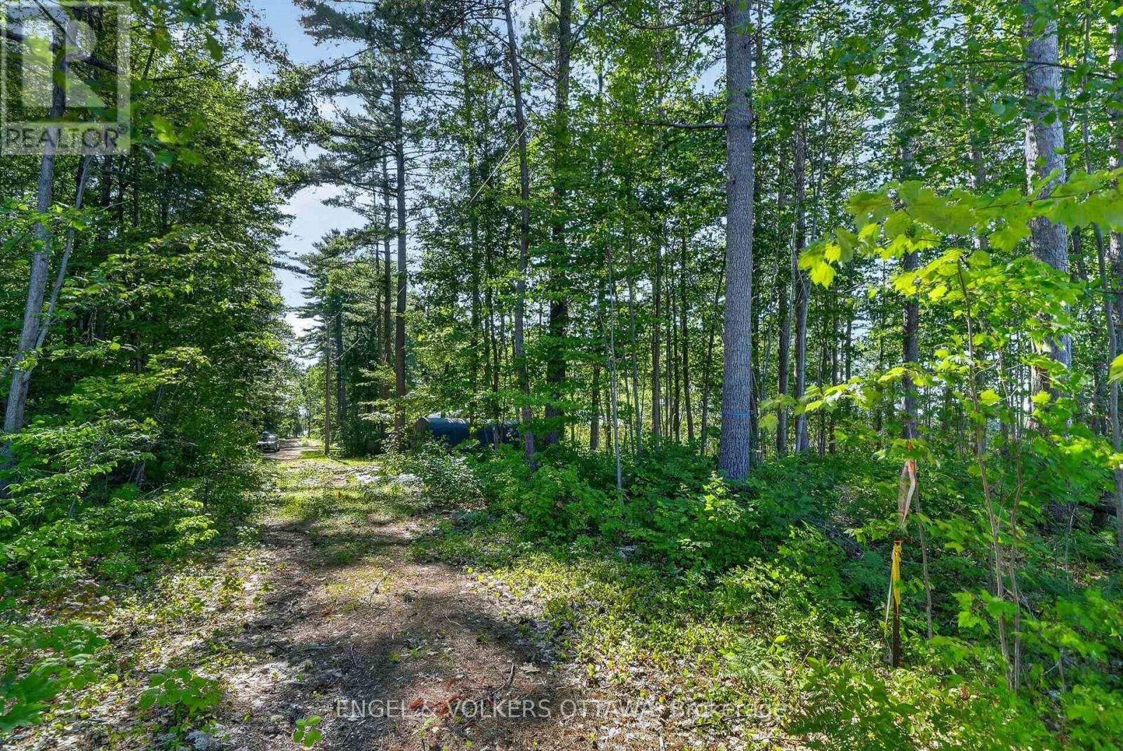 2221a Gratton Trail Property Photo 6