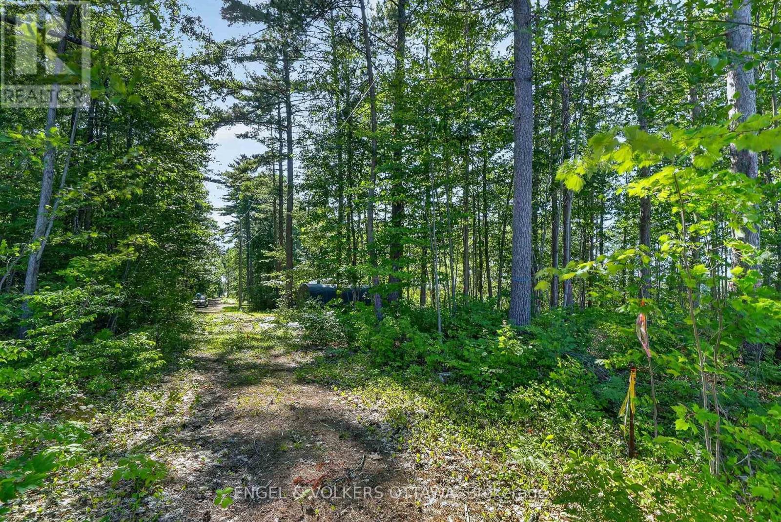 2221a Gratton Trail Property Photo 7