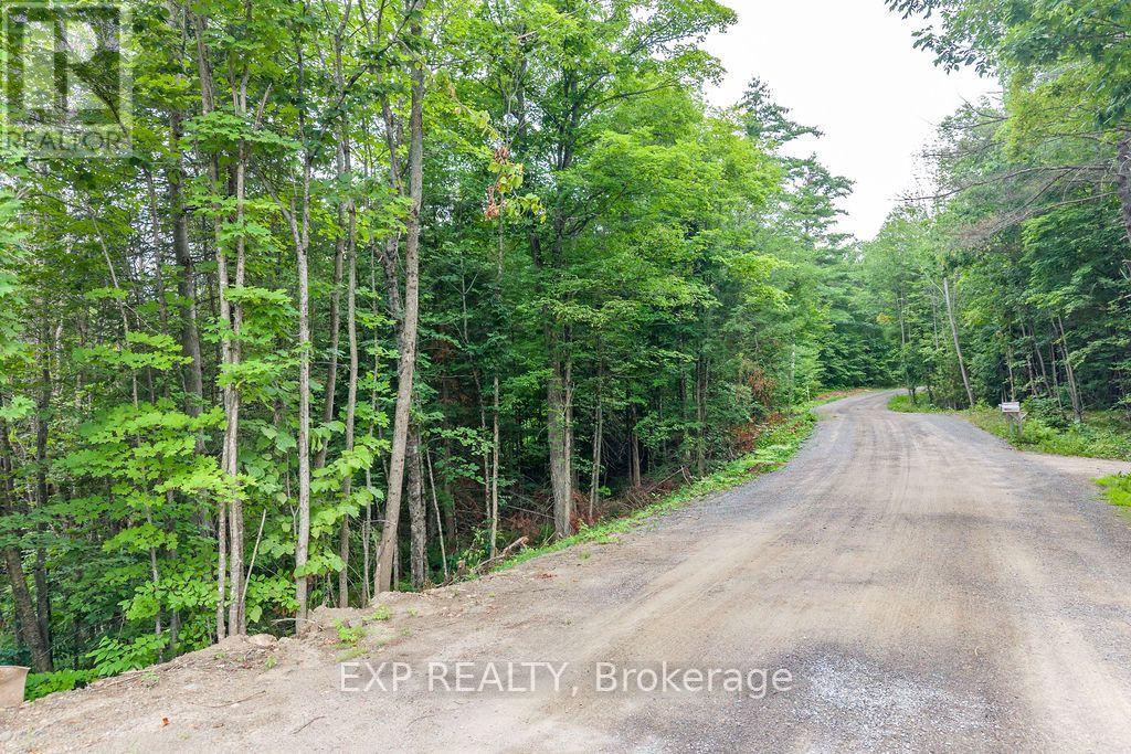 00 Riopelle Road Property Photo 9