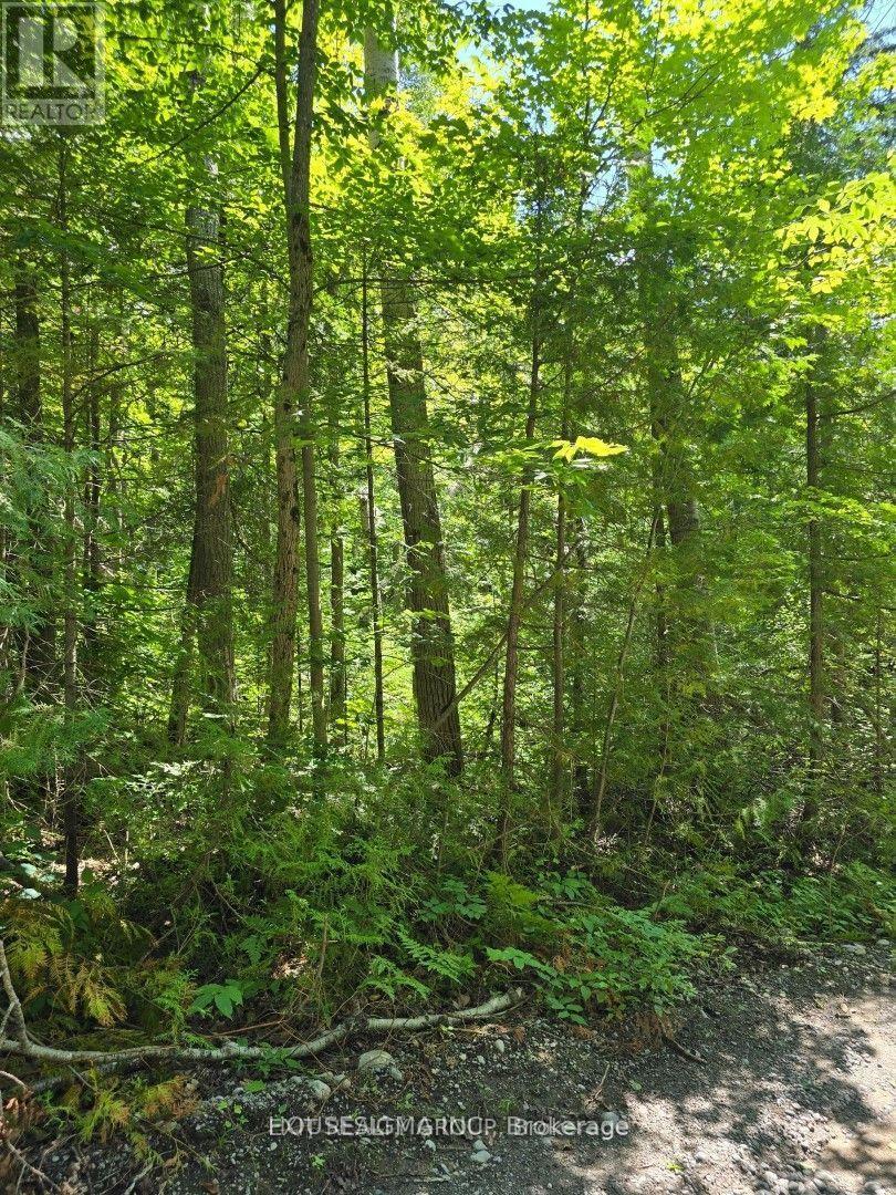 Pt Lt 3 Concession 8 Pt 123 Property Photo 1