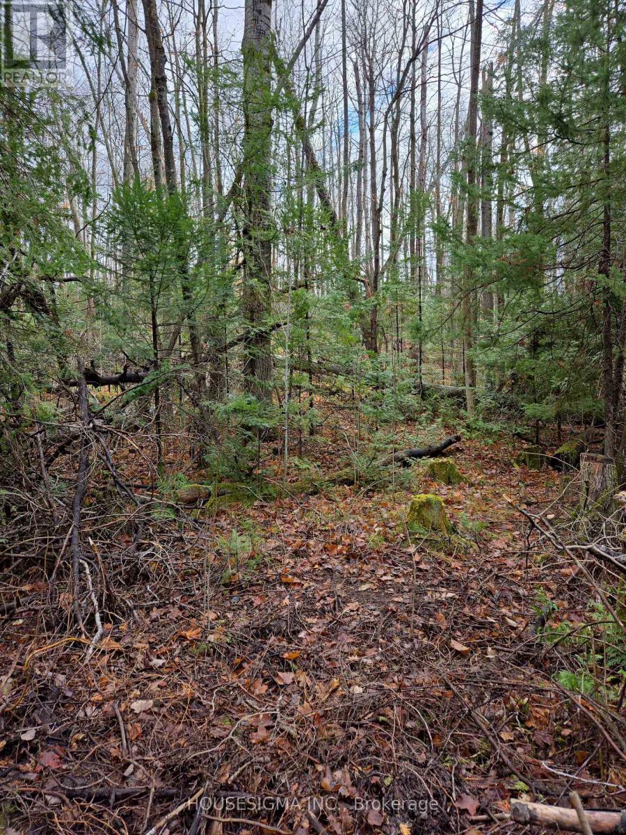 Pt Lt 3 Concession 8 Pt 123 Property Photo 2