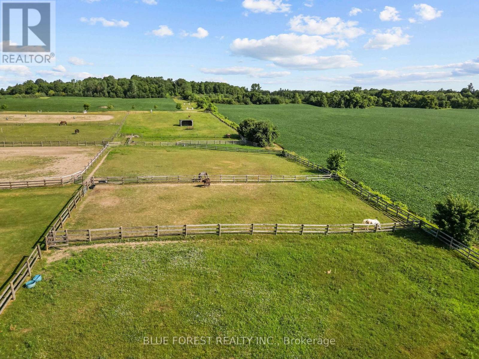 12798 Eight Mile Road Property Photo 31