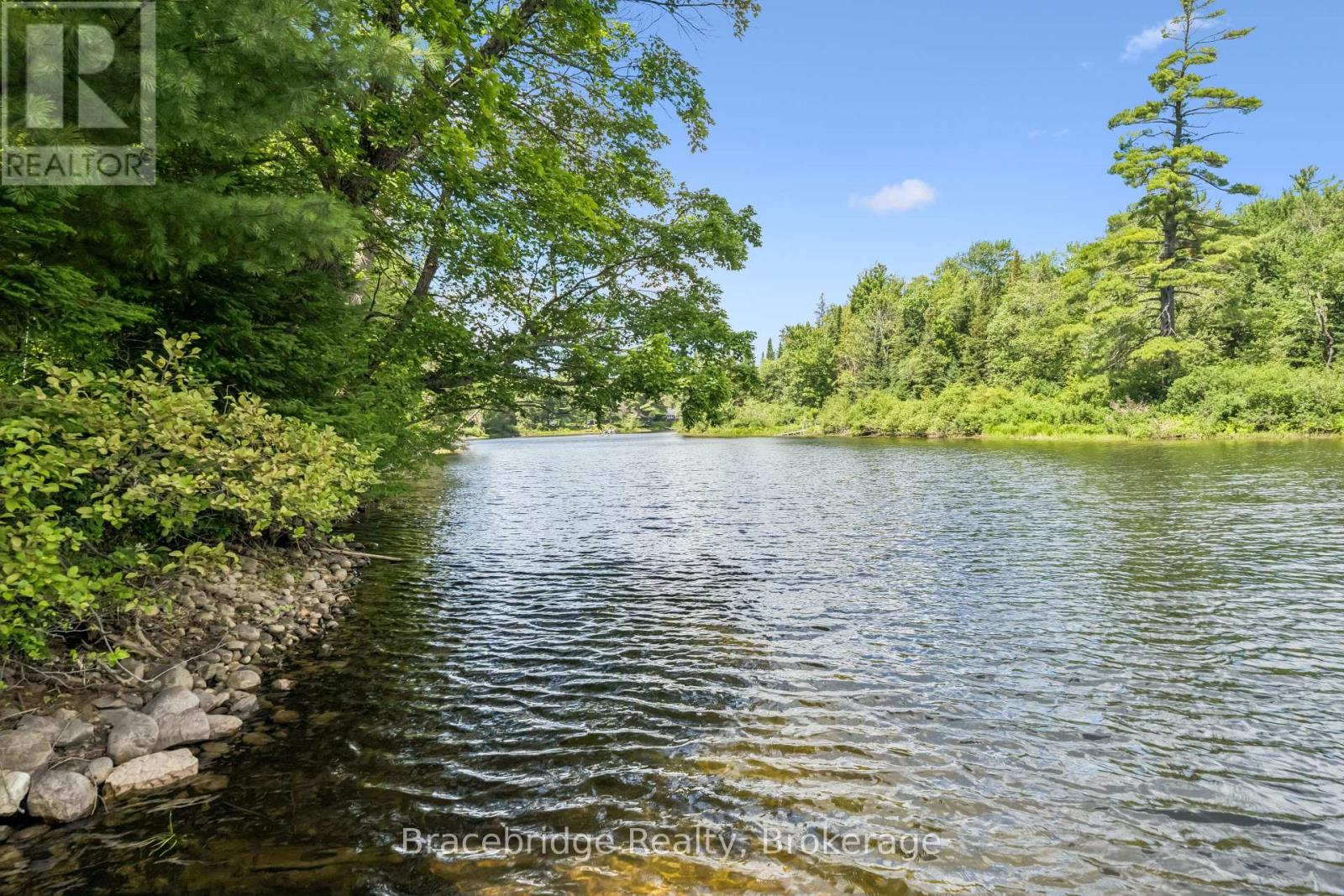 1100 Colony Road Property Photo 35
