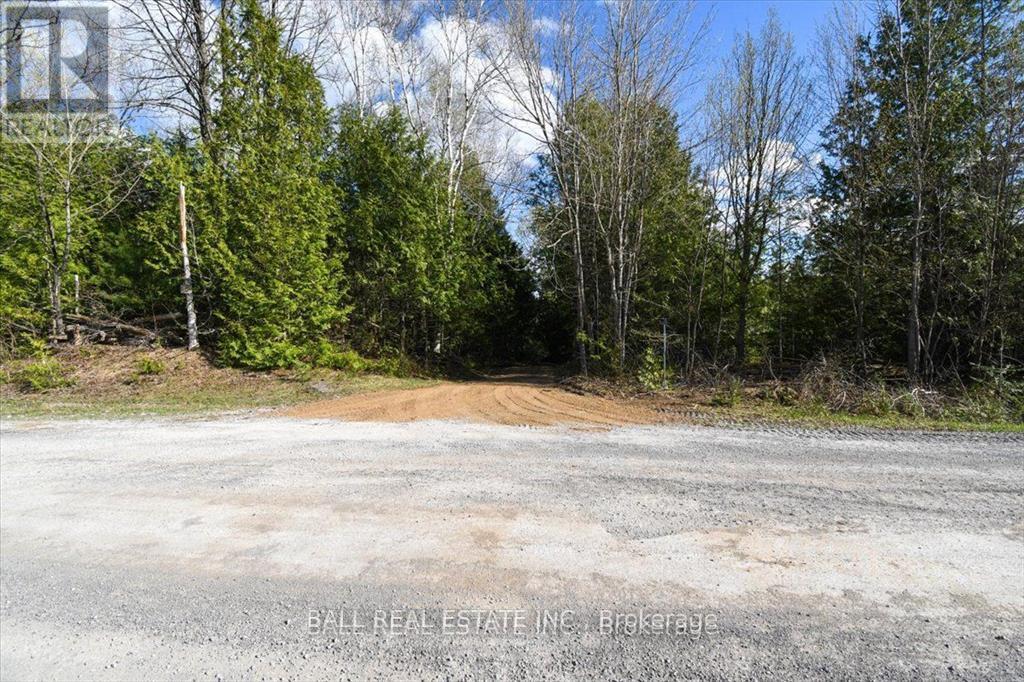 As Part 2, Clydesdale Road Property Photo 3