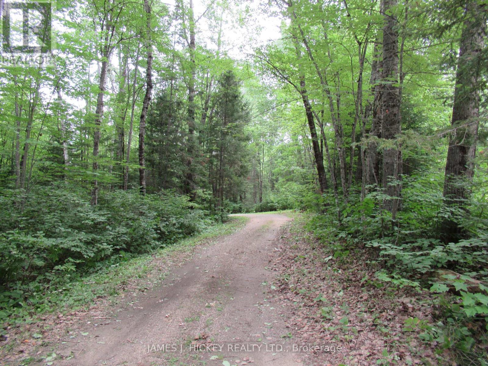 601 Mackey Creek Road Property Photo 2