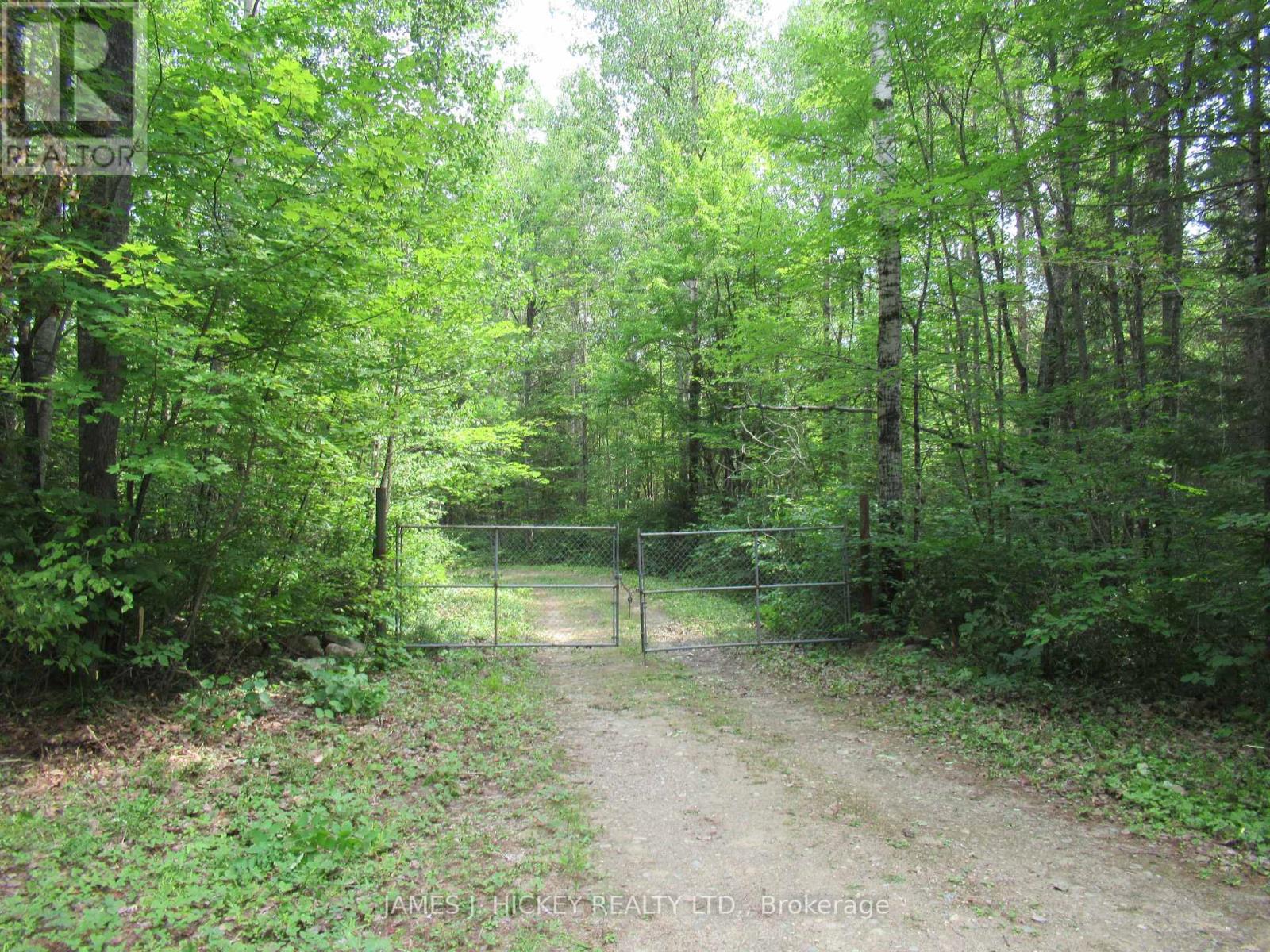 601 Mackey Creek Road Property Photo 3