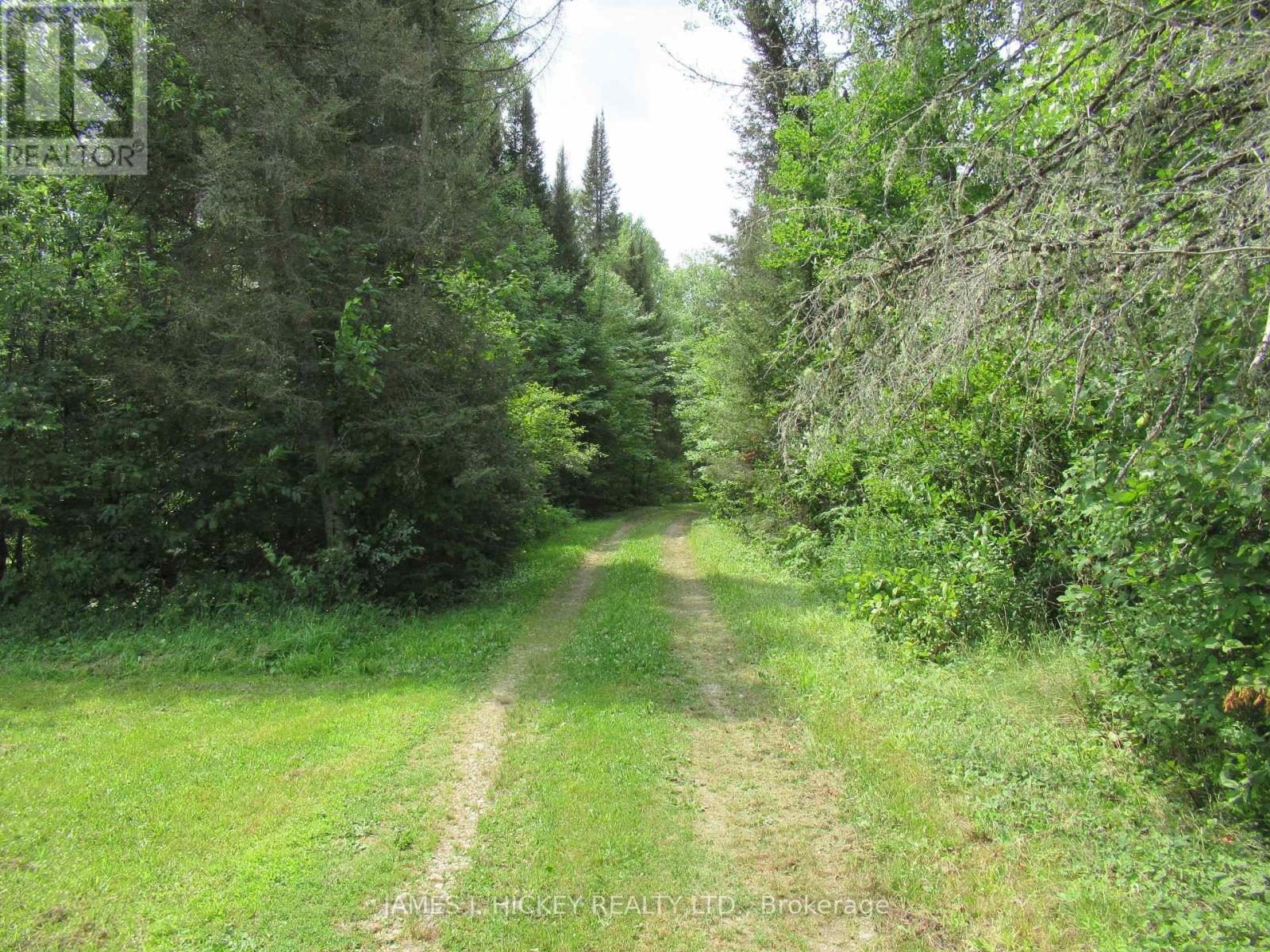 601 Mackey Creek Road Property Photo 14