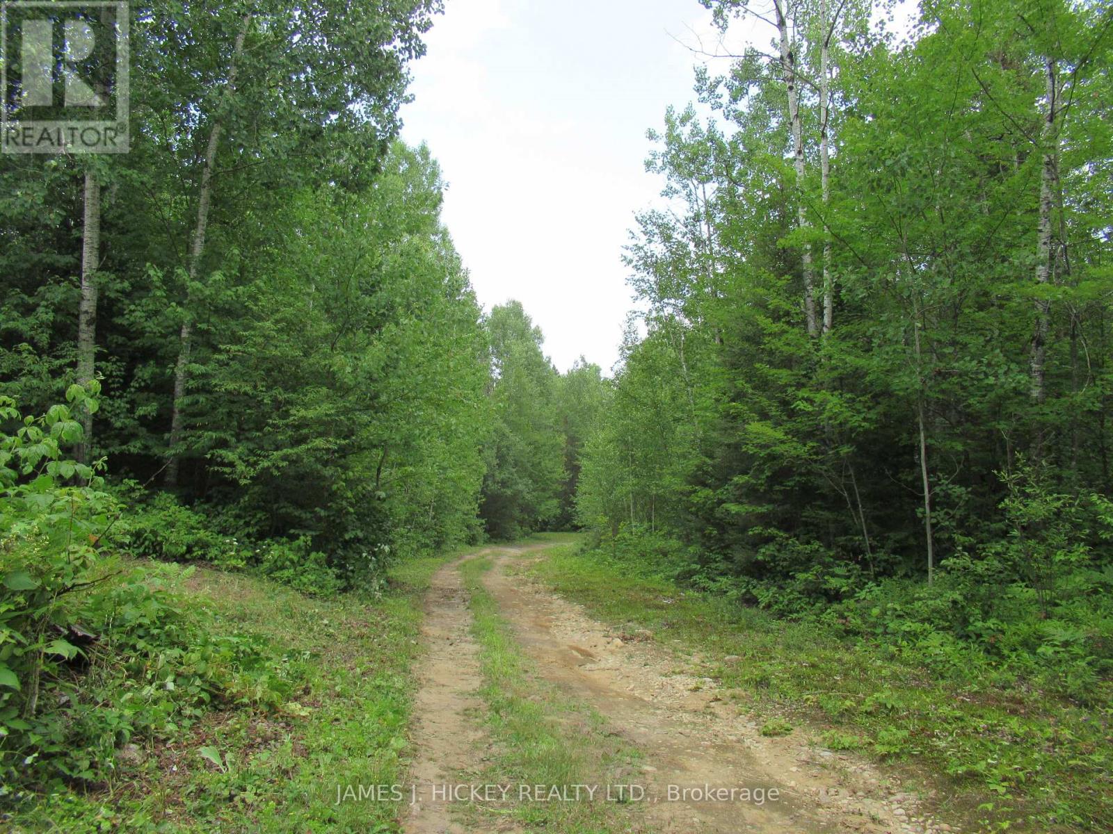 601 Mackey Creek Road Property Photo 15