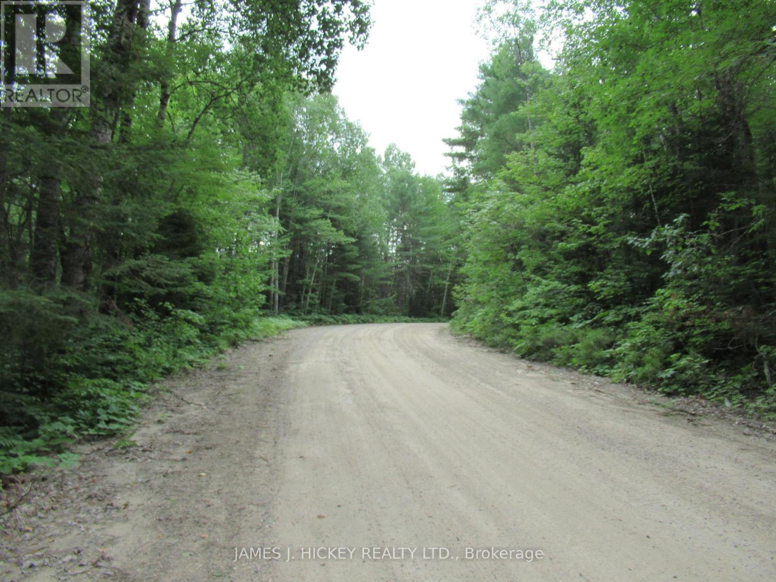 601 Mackey Creek Road Property Photo 16