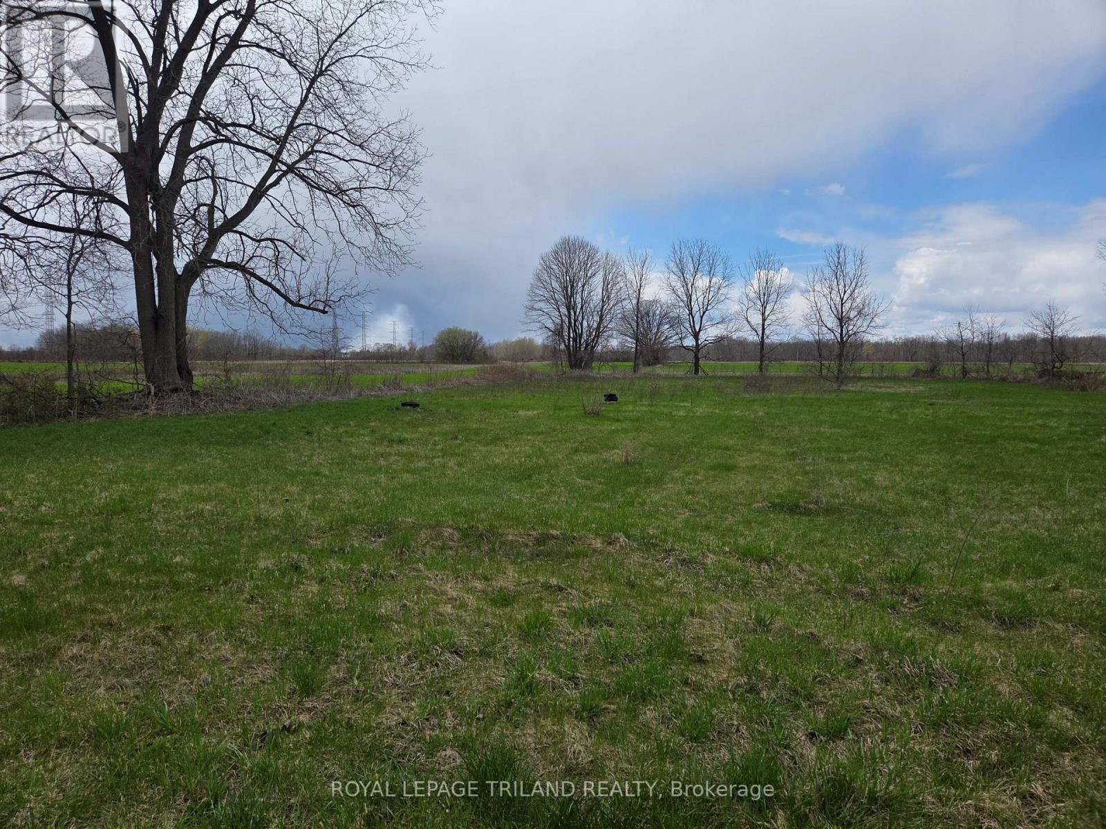 Middlemiss Avenue Property Photo 5