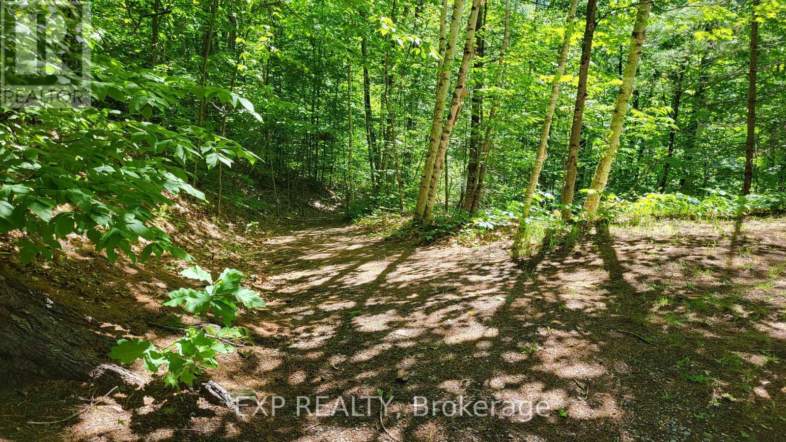 2205 Calabogie Road Property Photo 28