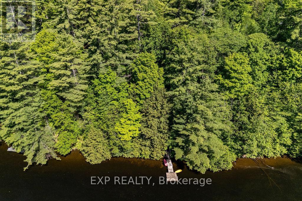 2205 Calabogie Road Property Photo 41