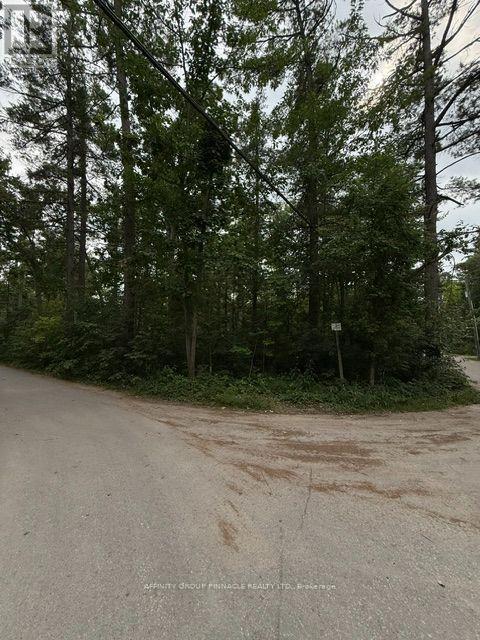 79 Irene Avenue Property Photo 2
