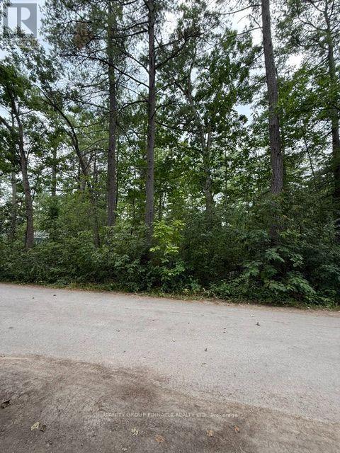 79 Irene Avenue Property Photo 3