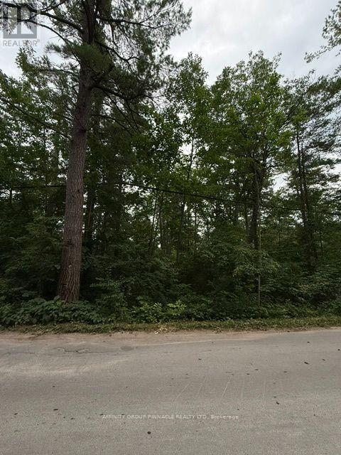 79 Irene Avenue Property Photo 5