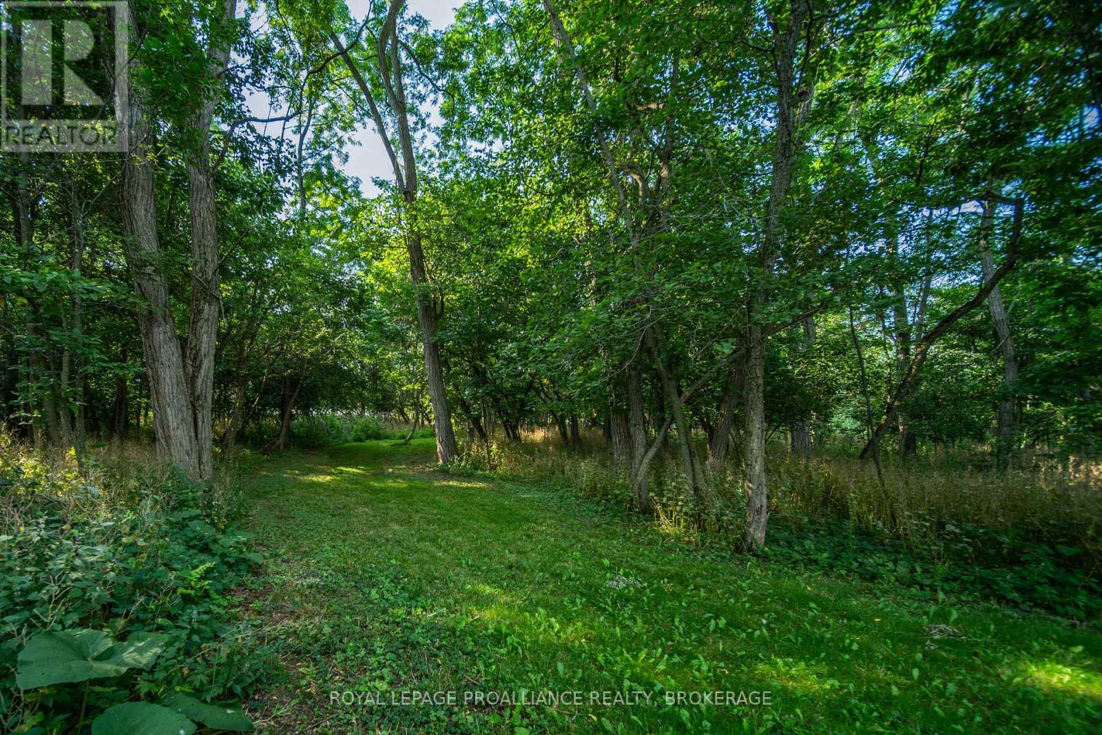 1039 Highway 96 Property Photo 35