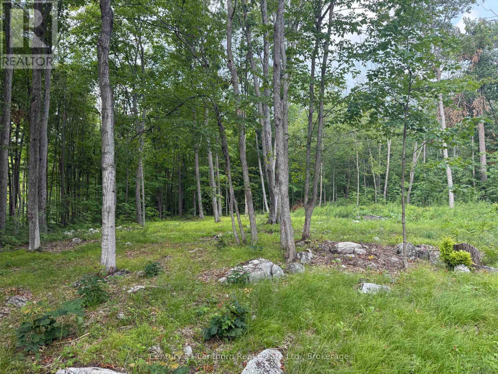 554 Pigden Road Property Photo 1