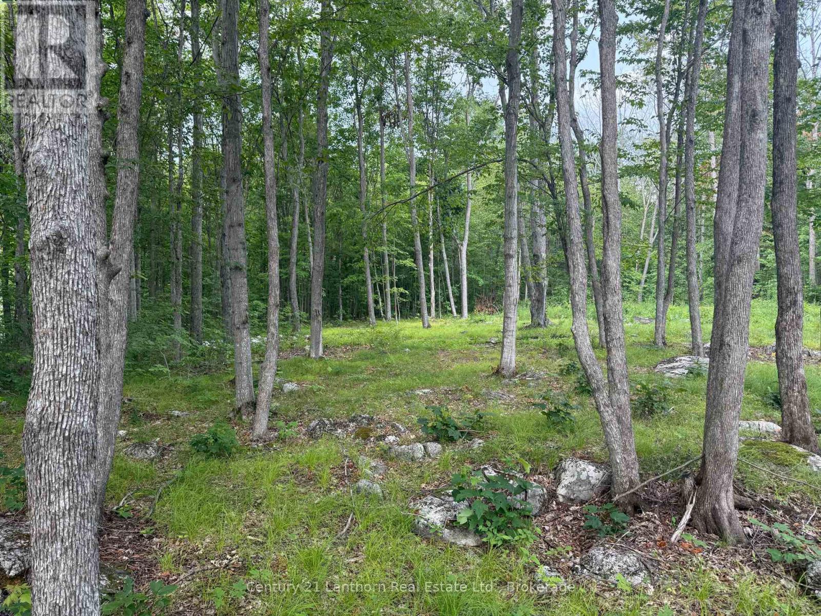 554 Pigden Road Property Photo 2