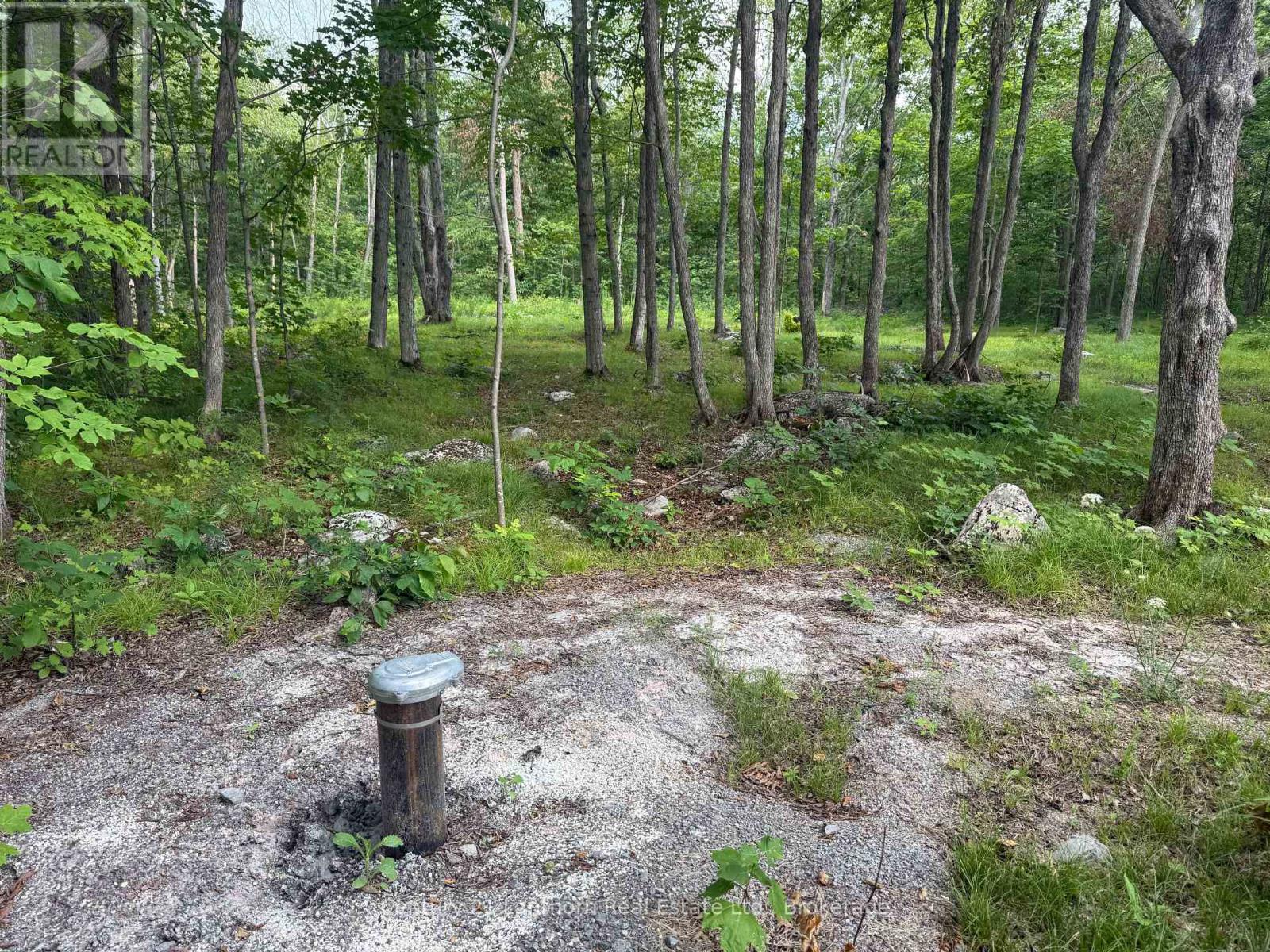 554 Pigden Road Property Photo 3