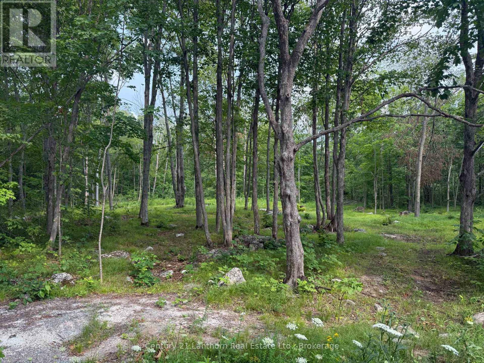 554 Pigden Road Property Photo 4