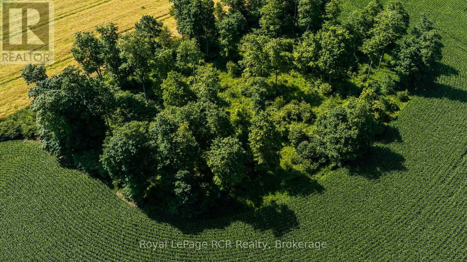 Pt Lt 115-116 Highway 10 Property Photo 9