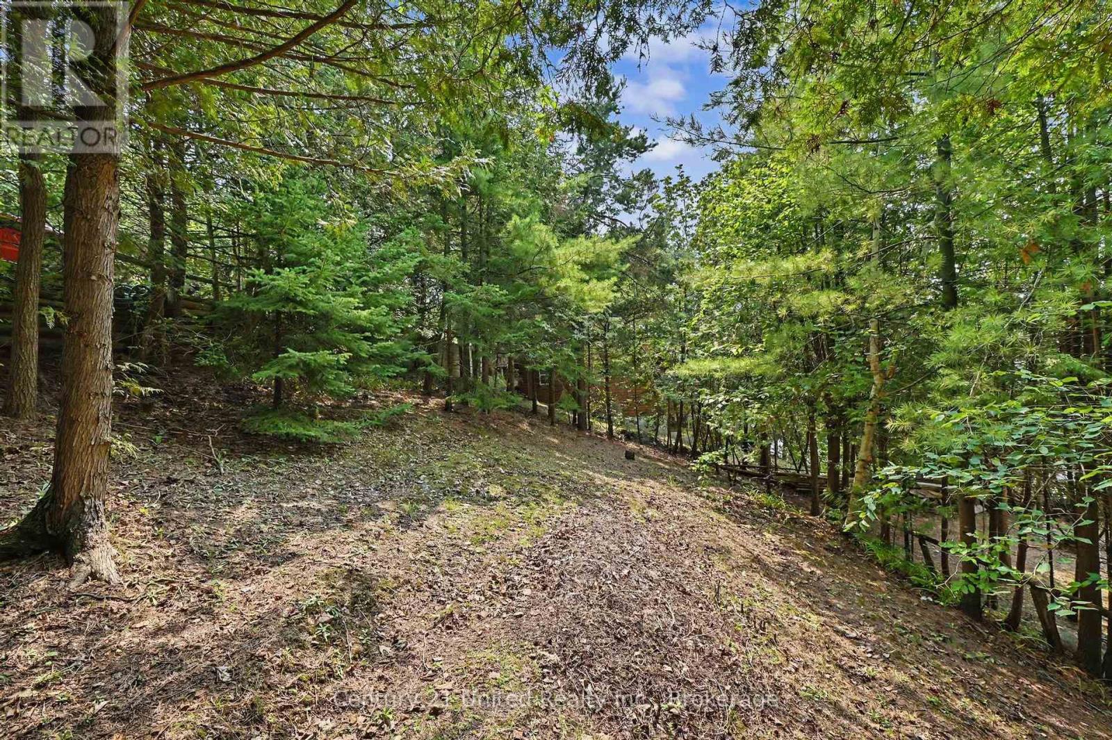 176 Robins Road Property Photo 41