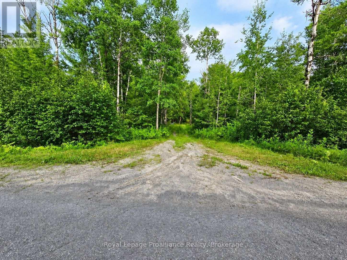 1446 Flinton Road Property Photo 1