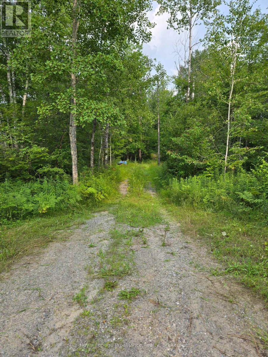 1446 Flinton Road Property Photo 2