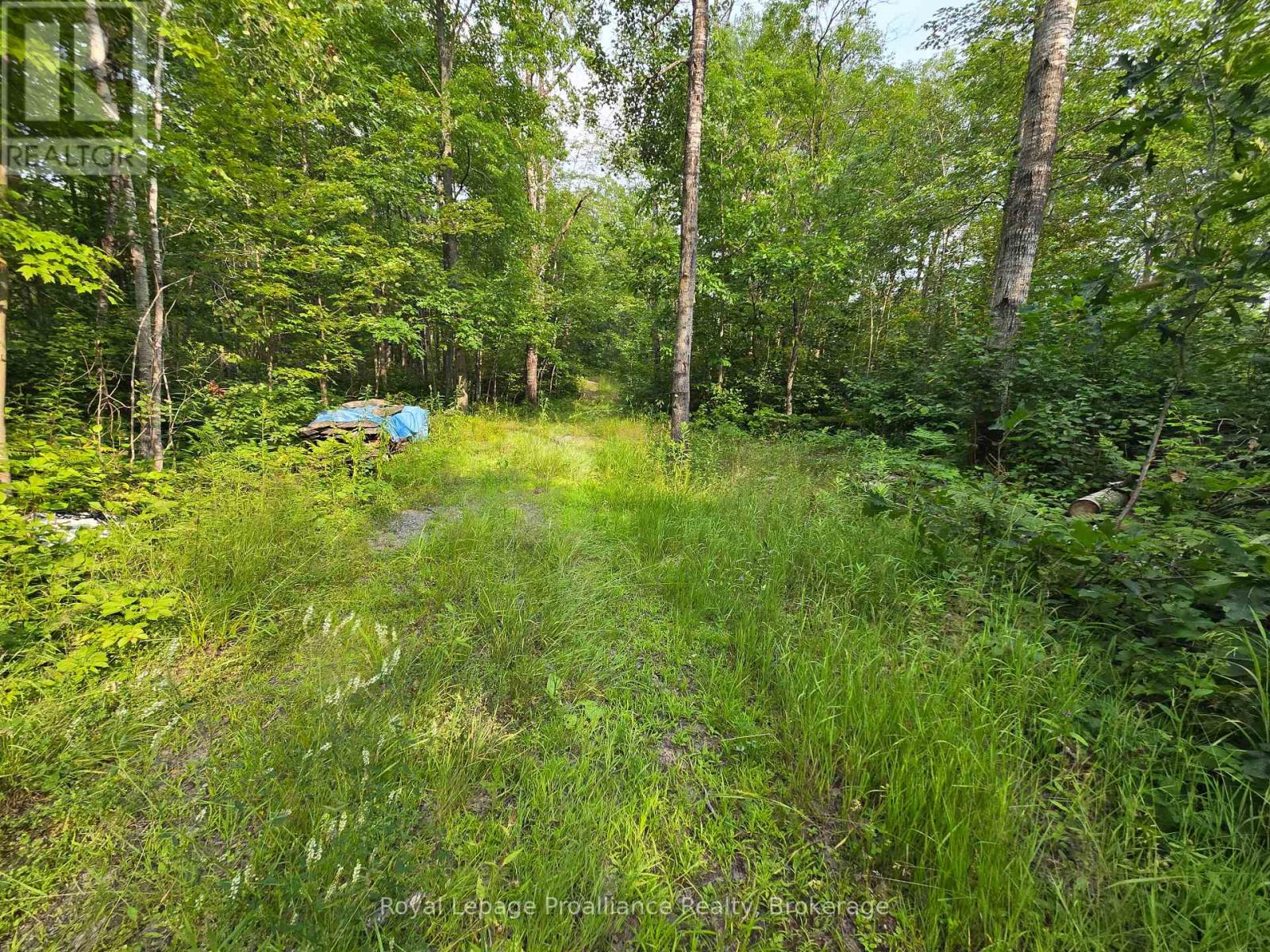 1446 Flinton Road Property Photo 3