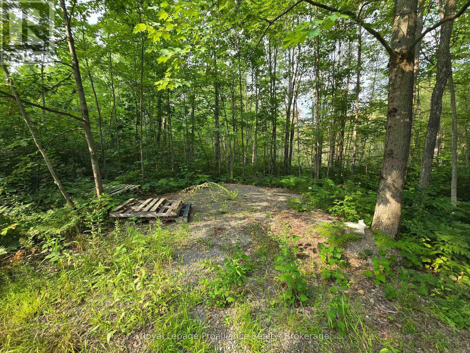 1446 Flinton Road Property Photo 4