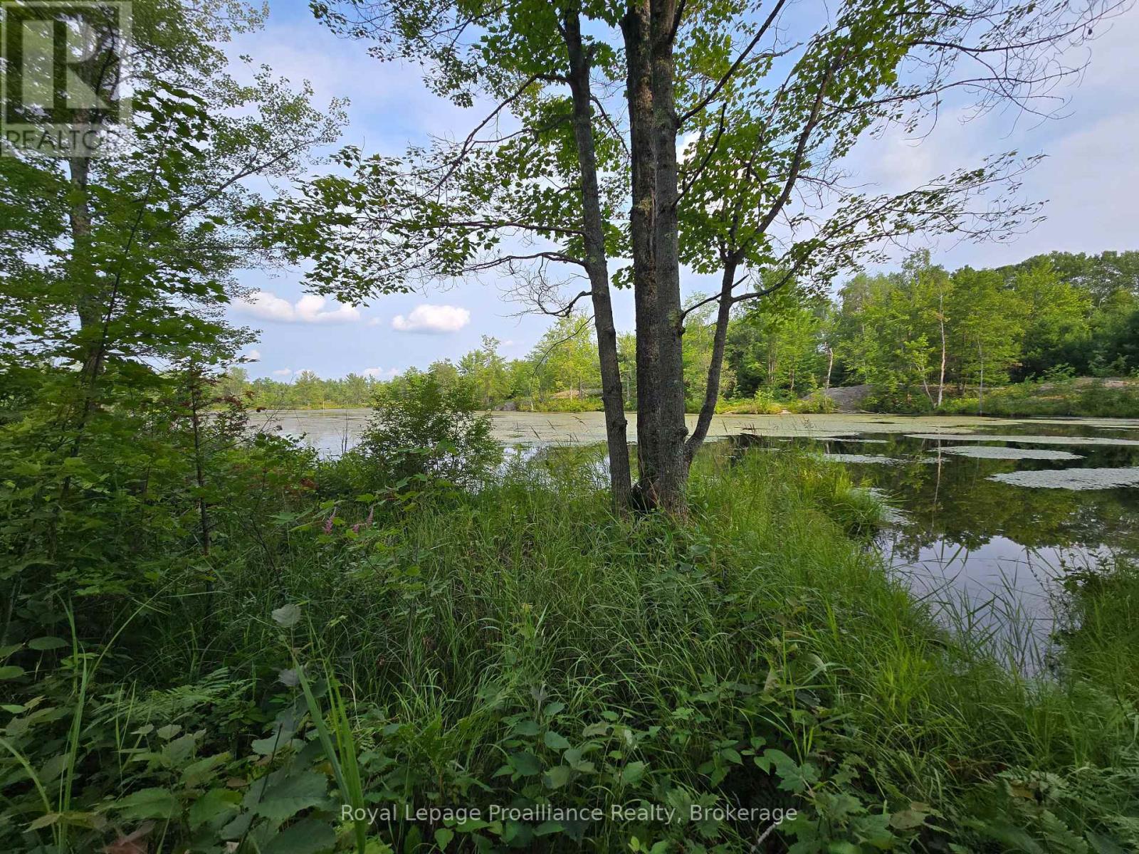 1446 Flinton Road Property Photo 7