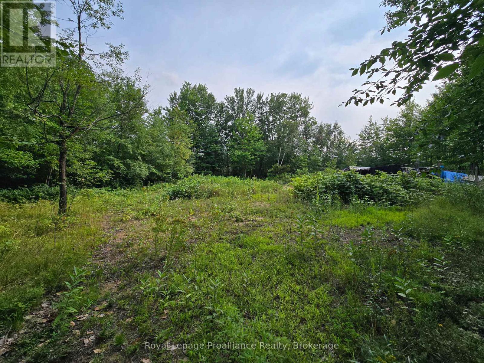 1446 Flinton Road Property Photo 12