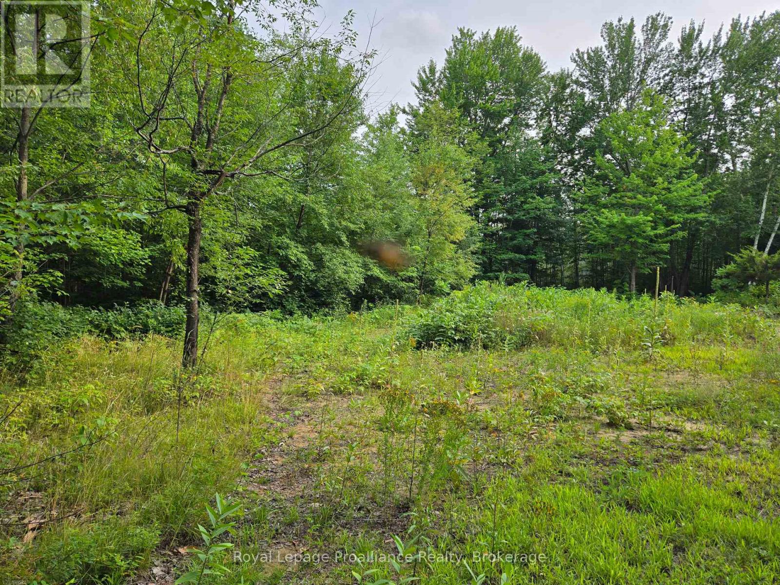 1446 Flinton Road Property Photo 13