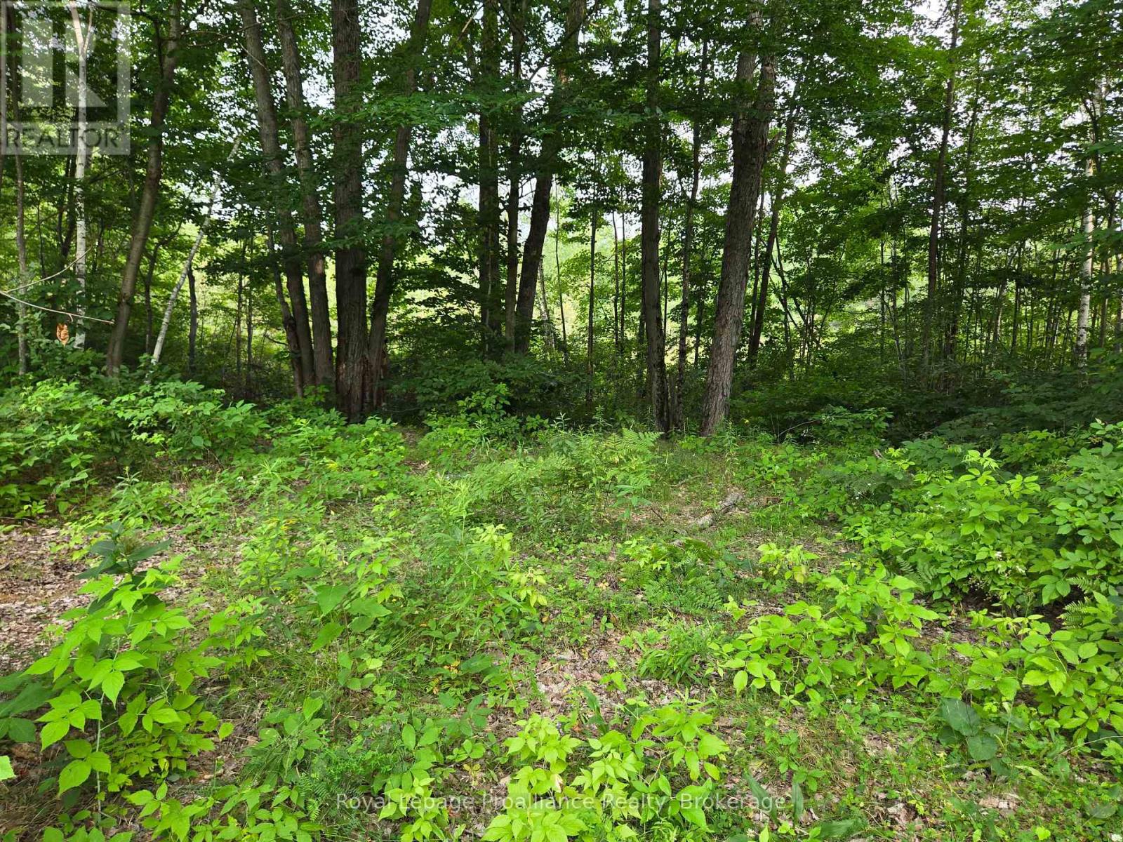 1446 Flinton Road Property Photo 14