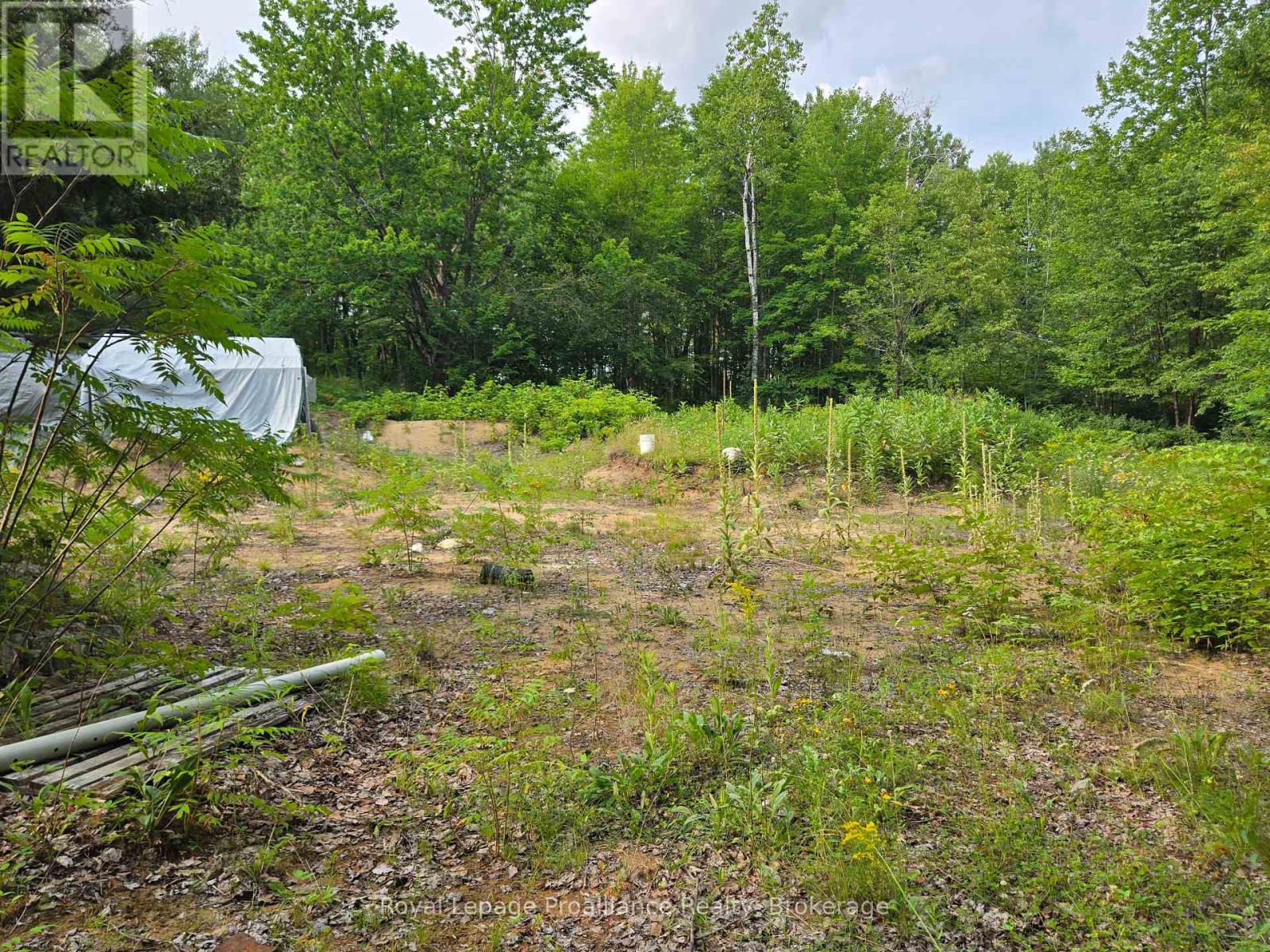 1446 Flinton Road Property Photo 15