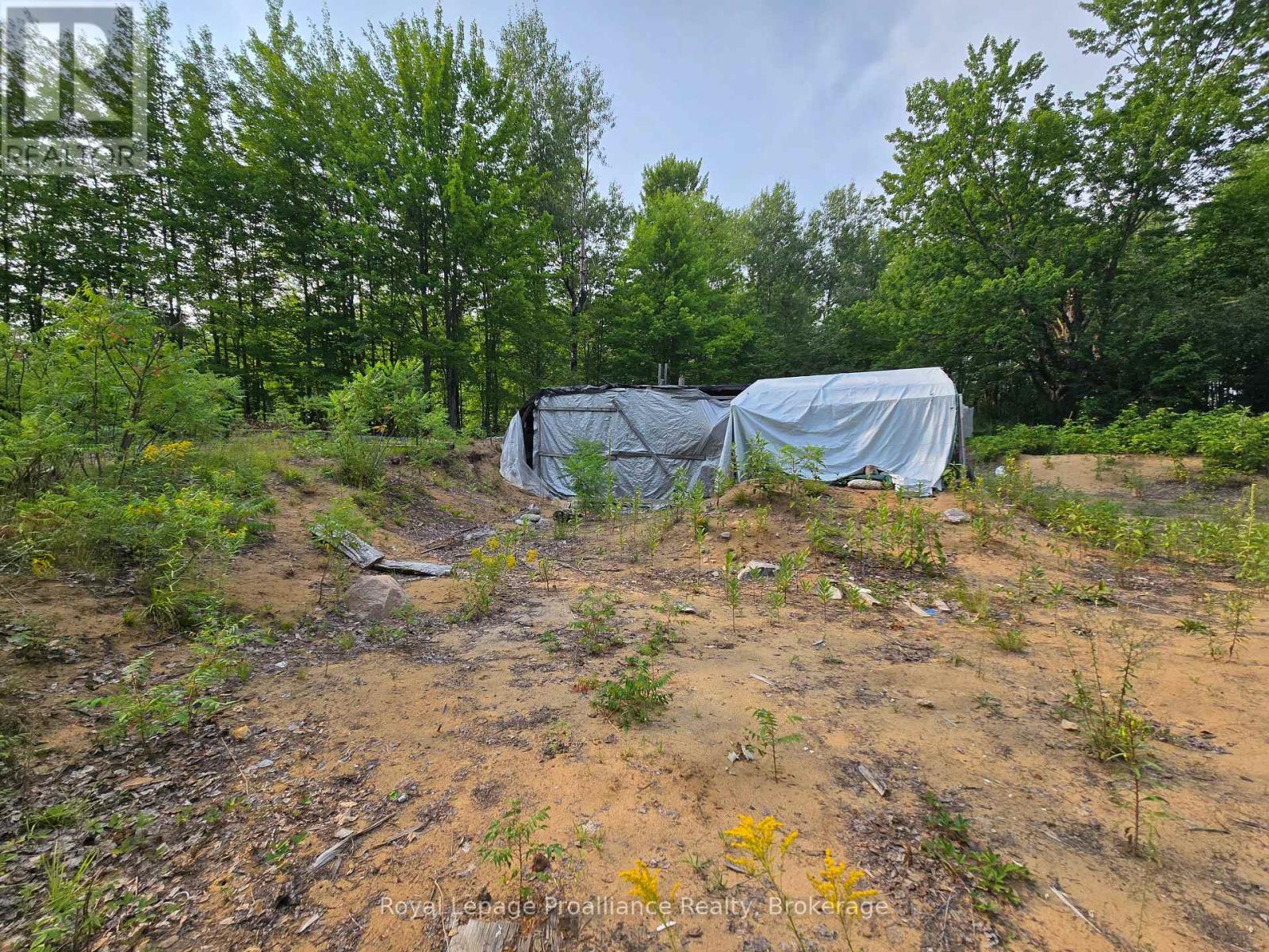 1446 Flinton Road Property Photo 17