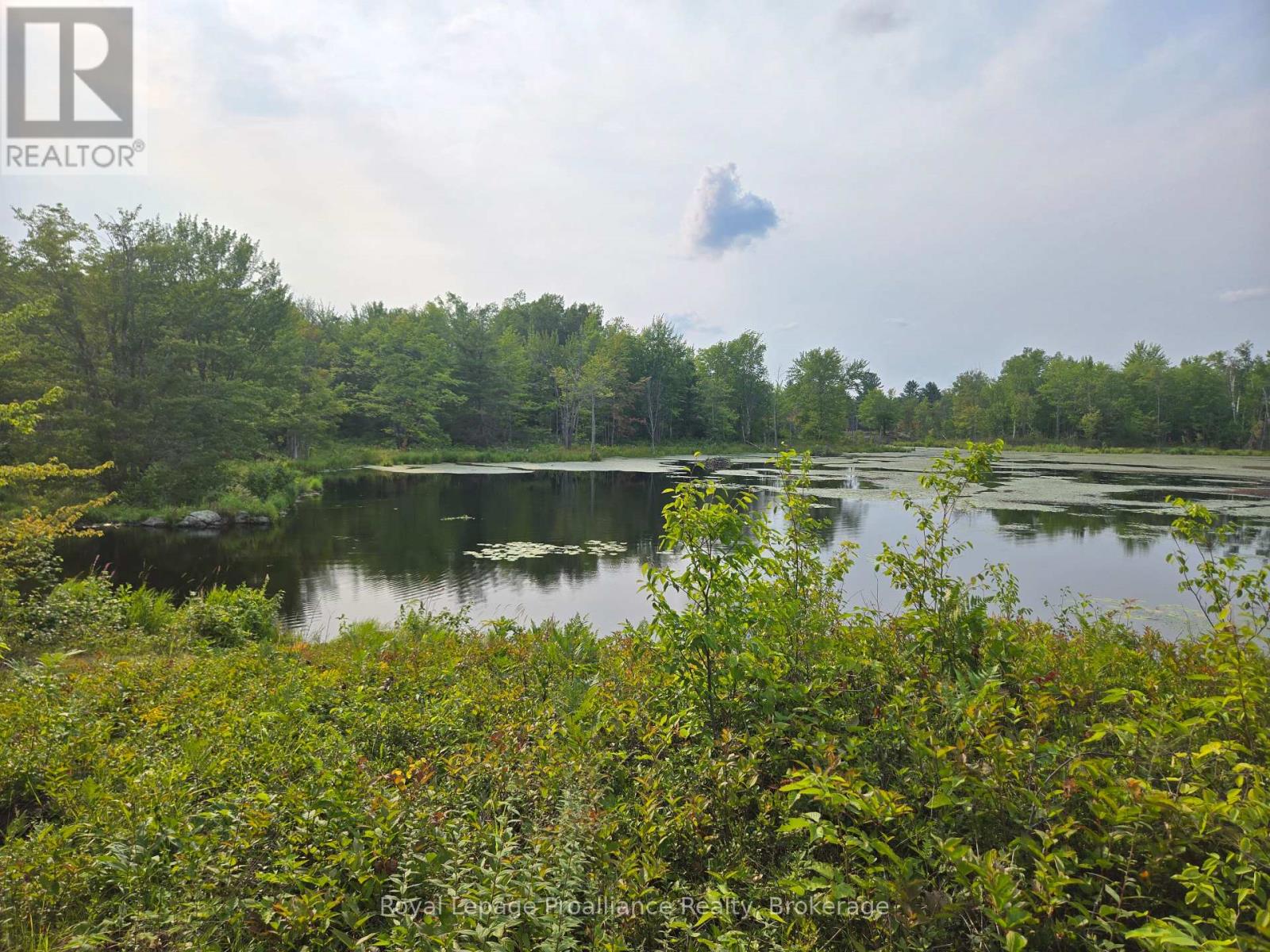 1446 Flinton Road Property Photo 18