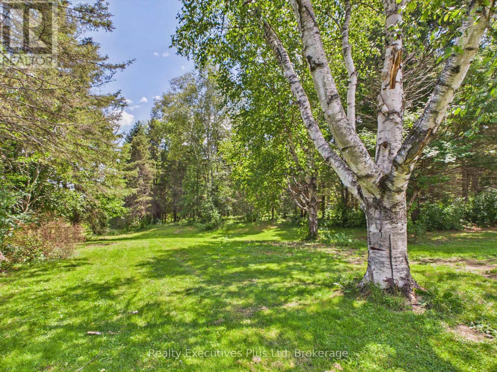 29 Queen Street Property Photo 46