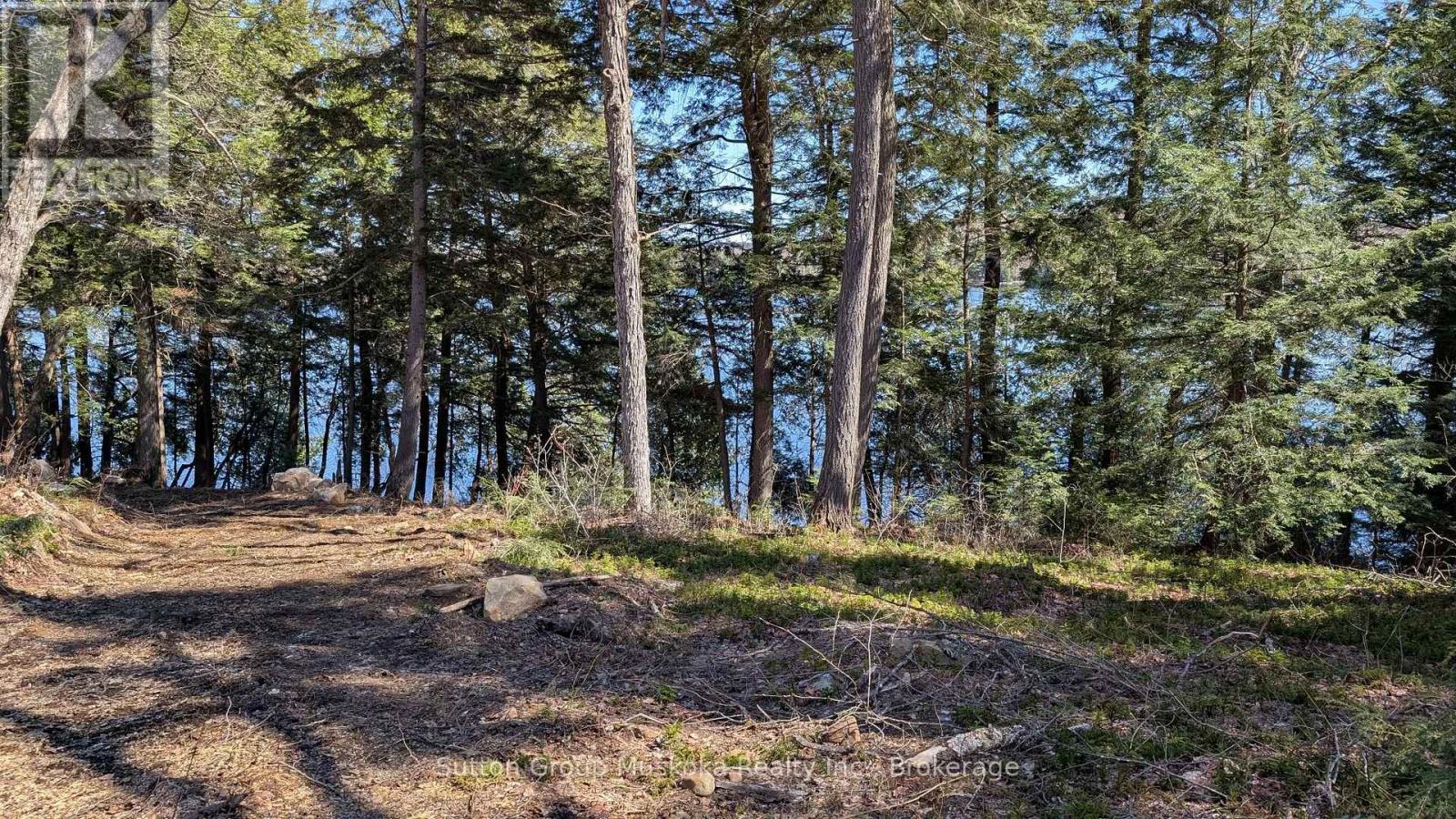 Lot 1 Esig Lane Property Photo 3