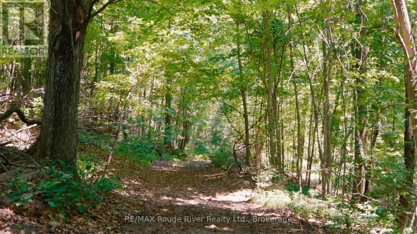 733 County Rd 2 Rd Road E Property Photo 11