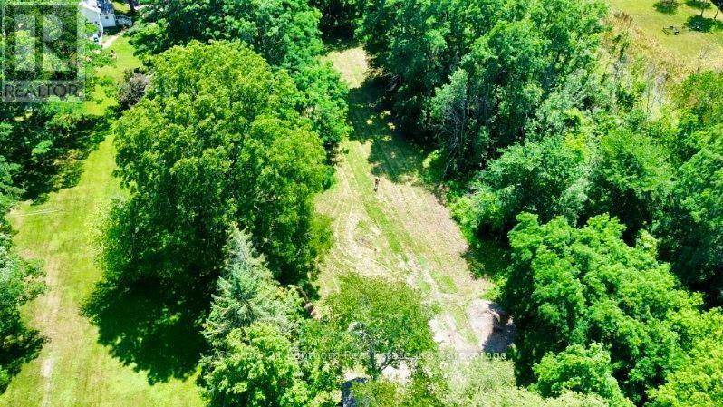 49 Cressy Bayside Road Property Photo 14