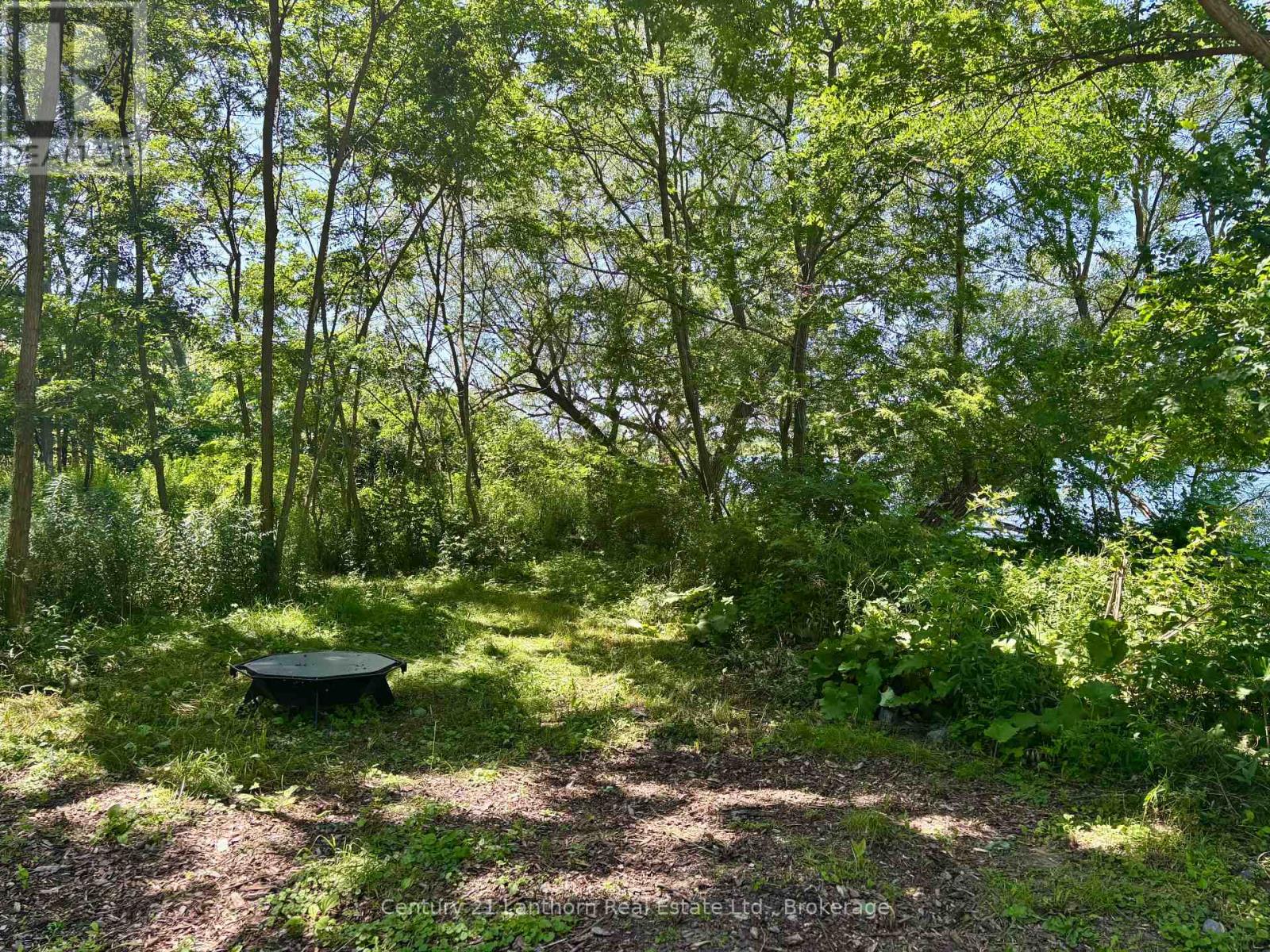 49 Cressy Bayside Road Property Photo 25