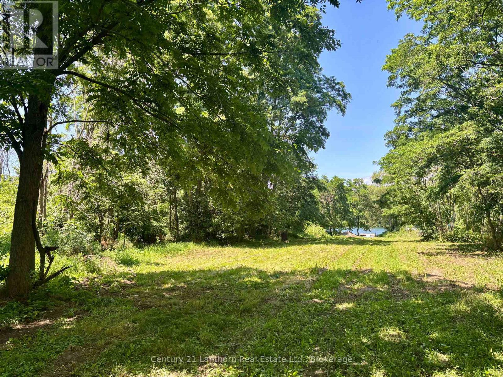 49 Cressy Bayside Road Property Photo 26