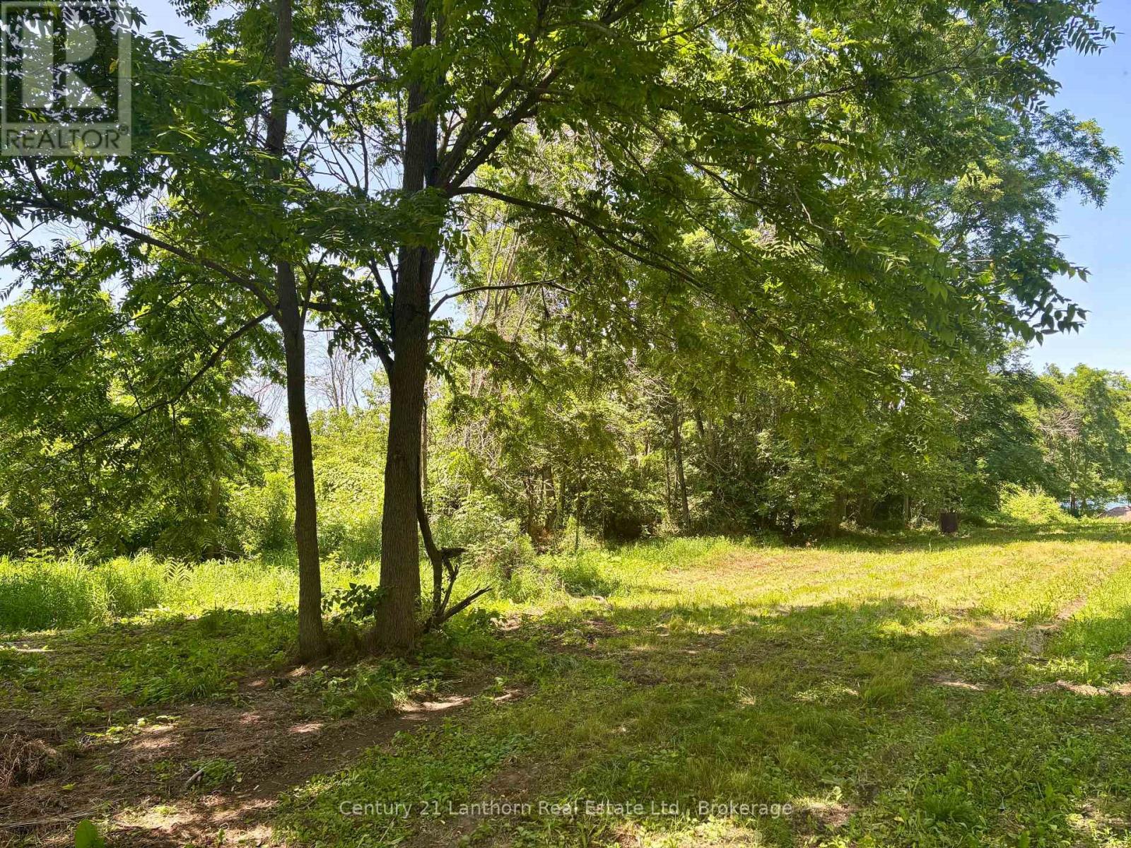 49 Cressy Bayside Road Property Photo 27
