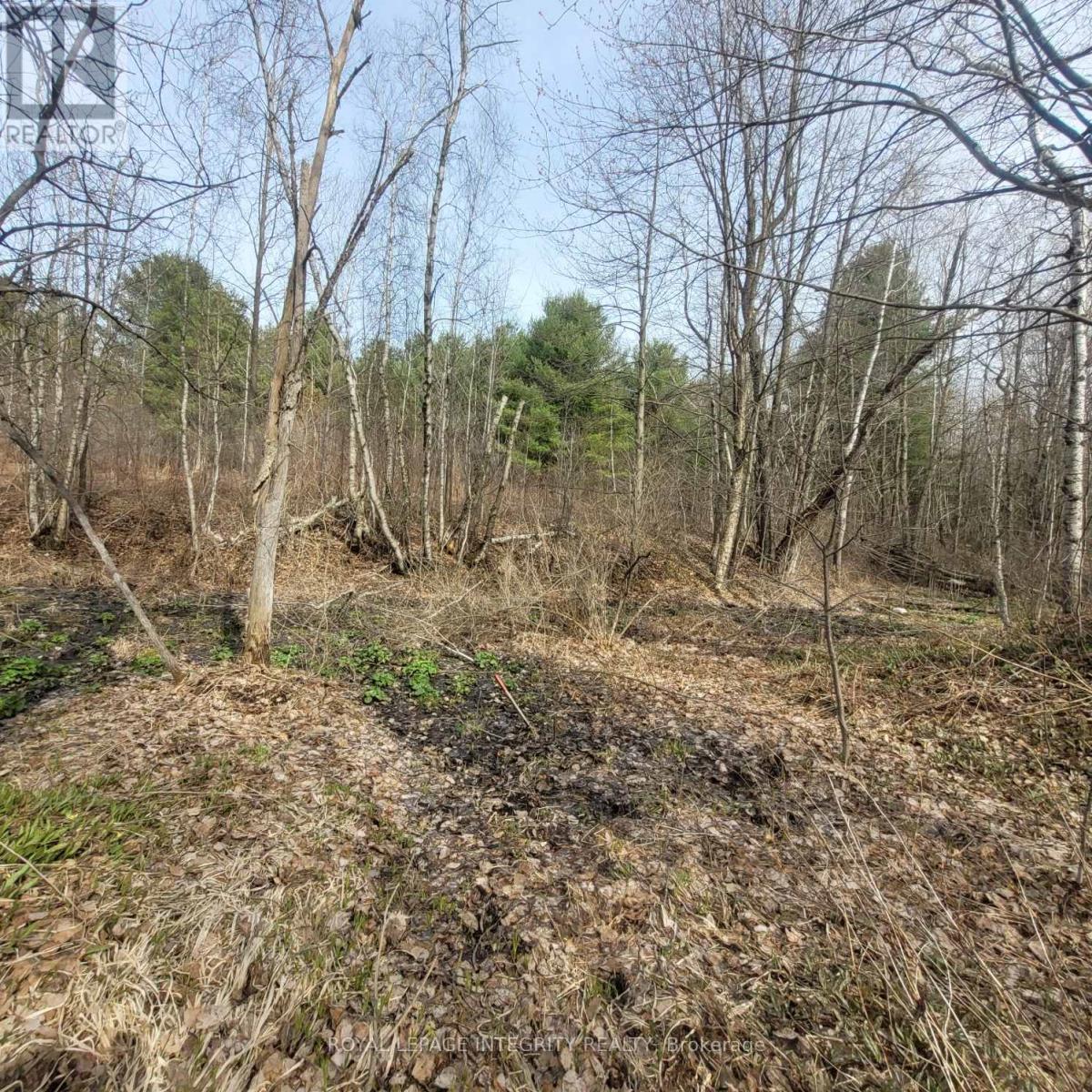 53 Beaver Lane Property Photo 30