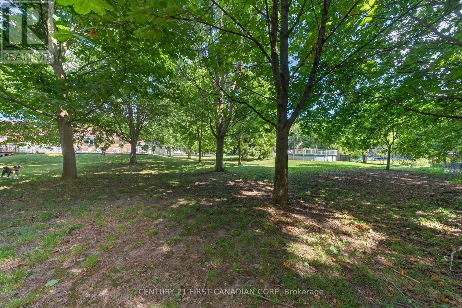 157 Princess Street Property Photo 7