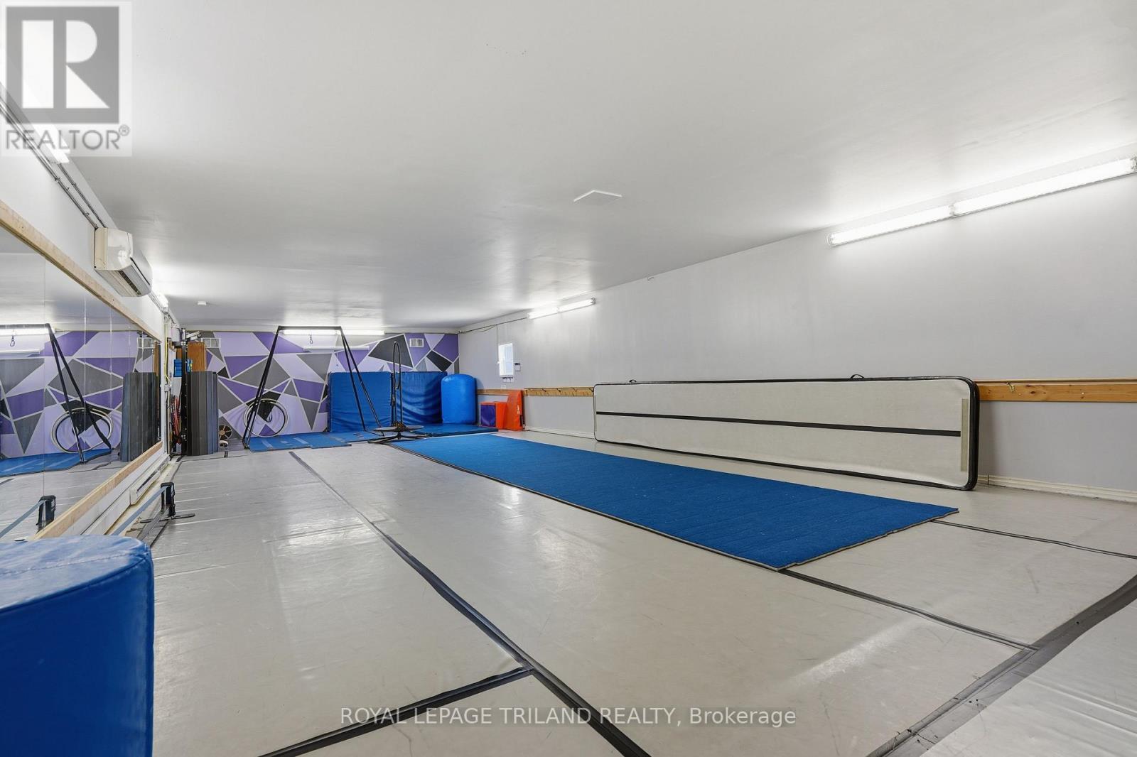 Studio And Offices - 80 Albert Street Property Photo 18