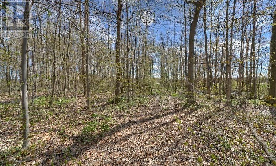315529 31st Line Property Photo 3